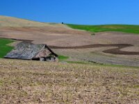 Barn On Palouse