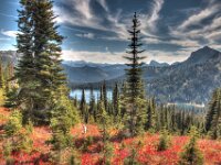 Fall Color