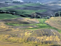 Palouse