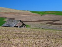 Barn On Palouse