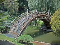 Japanese Bridge