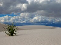 Sand Dune 01