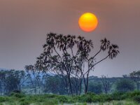 Africa Sunrise