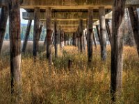 Under the Bridge