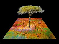 Maple Abstract