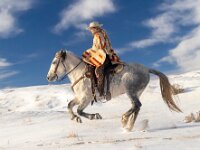Rider
