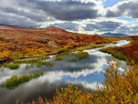 Alaska Reflection