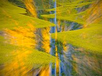 Impressionistic Birch