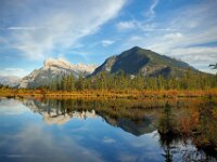 Vermillian Reflections