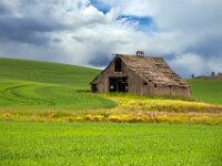 Barn in Palouse