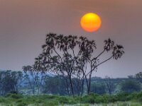 Africa Sunrise 02