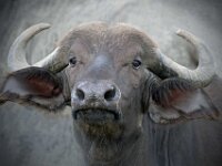 Africa Photo Tour