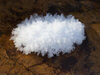 Ice Abstract