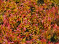 Abstract 02