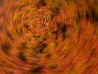Abstract 03