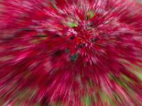 Abstract 04