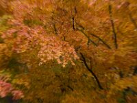 Abstract 06