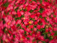 Abstract 08