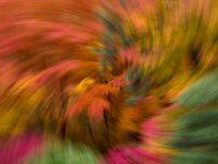 Abstract 11