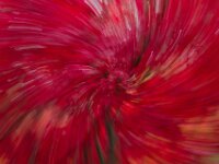 Abstract 12