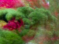 Abstract 14