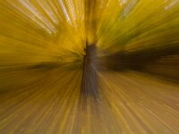 Abstract 18
