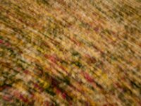 Abstract 20
