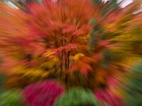Abstract 22