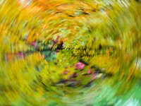 Abstract 24