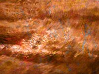 Abstract 26