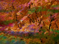 Abstract 27