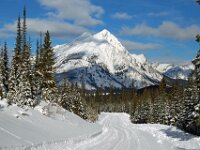 Jasper Banff Winter Tour
