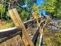 Fall Fence