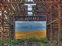 Looking Through Barn Door