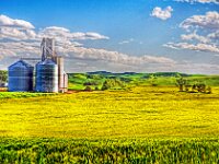 Silo Print