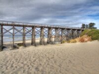 Tressel 01