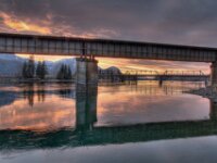 Tressel 03