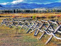 Yellowstone Fence