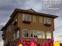Photo Competition