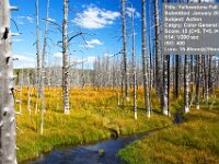 2012 01 YellowstoneFall