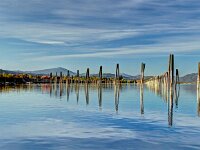 2013 02 Ponderay Pilings