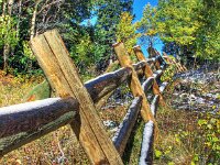 2013 10 Fall Fence IMG 8189 90 91