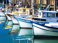 Sailboats 02