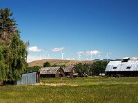 Barn with Windmills