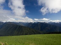 Huricane Ridge MG 3207
