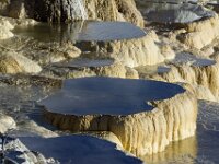 Mammoth Hot Springs 02