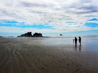 Oregon Coast MG 3368