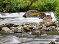 Stream