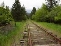 Track 01 MG 1444