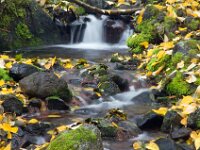 Water Fall